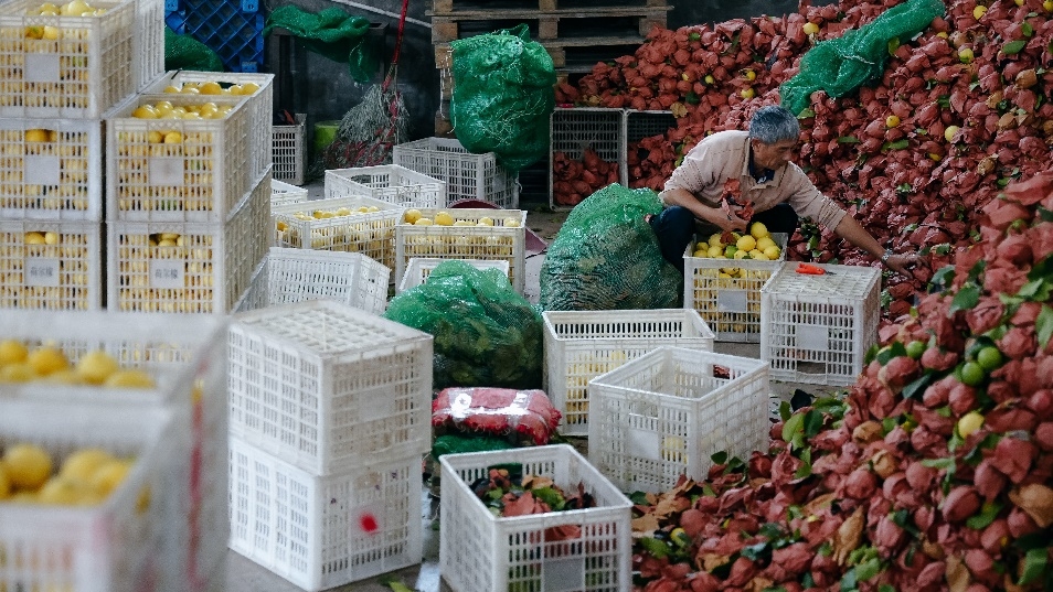 拼多多发布Q3财报，新电商迎创业十周年，加大投入反哺生态回馈社会