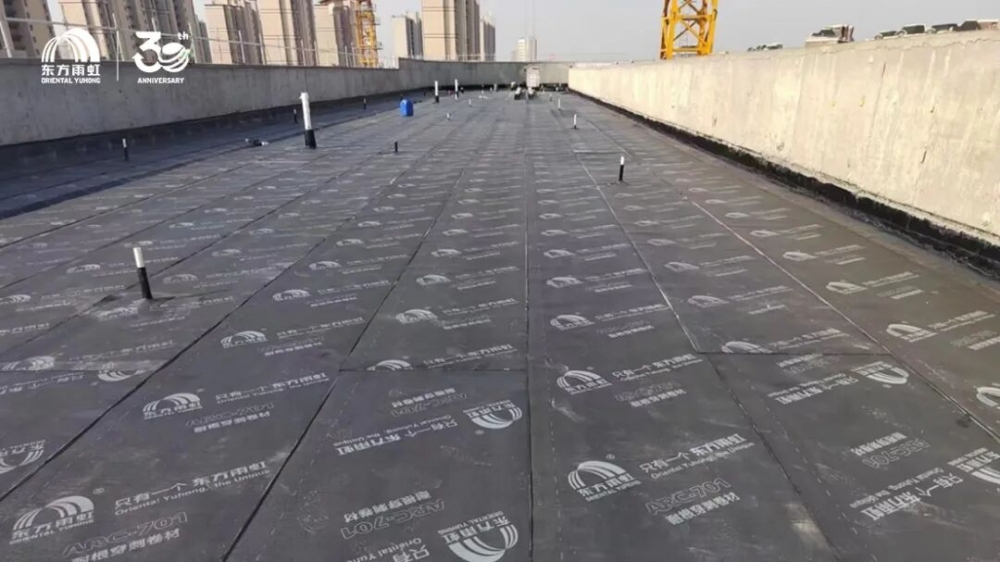 以标准筑基，以品质取胜；东方雨虹助力项目斩获白玉兰