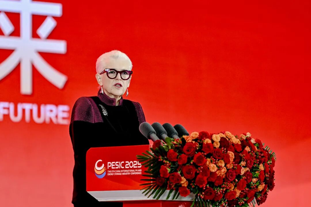 光储同辉 融合赋能 智创未来丨2025第八届中国国际光伏与储能产业大会隆重举行