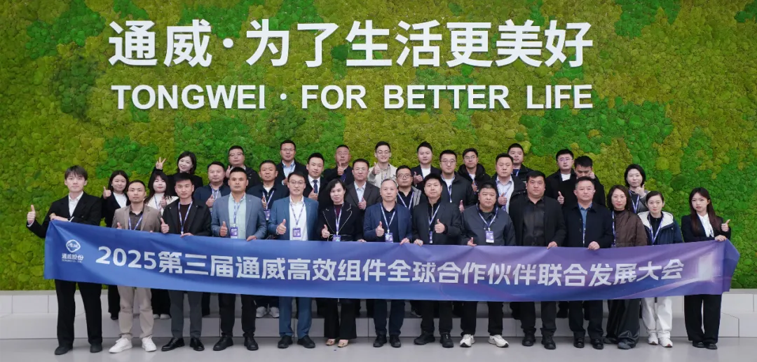 全球隆重发布“成绩单”!2025第八届中国国际光伏与储能产业大会多项数据均创历史之最!