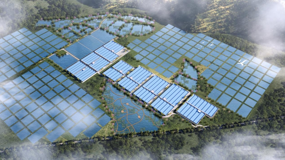 喜报！天马科技集团入选“2025福建省农业产业化龙头企业100强”