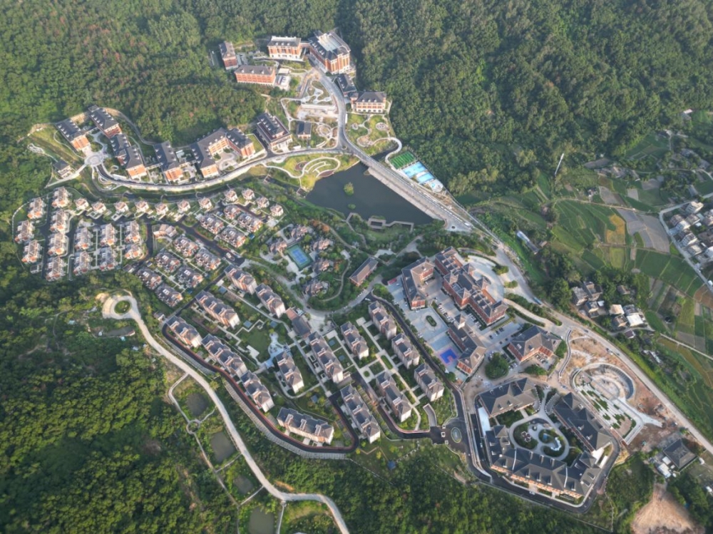 厦门国际银行：牢记嘱托 以奔跑姿态书写金融报国新篇章