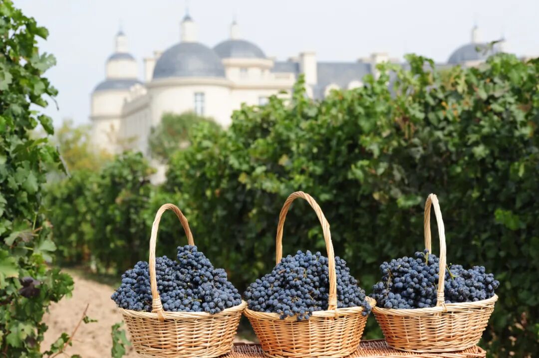 张裕龙谕获“2025拉姆·查兰管理实践奖-杰出奖”