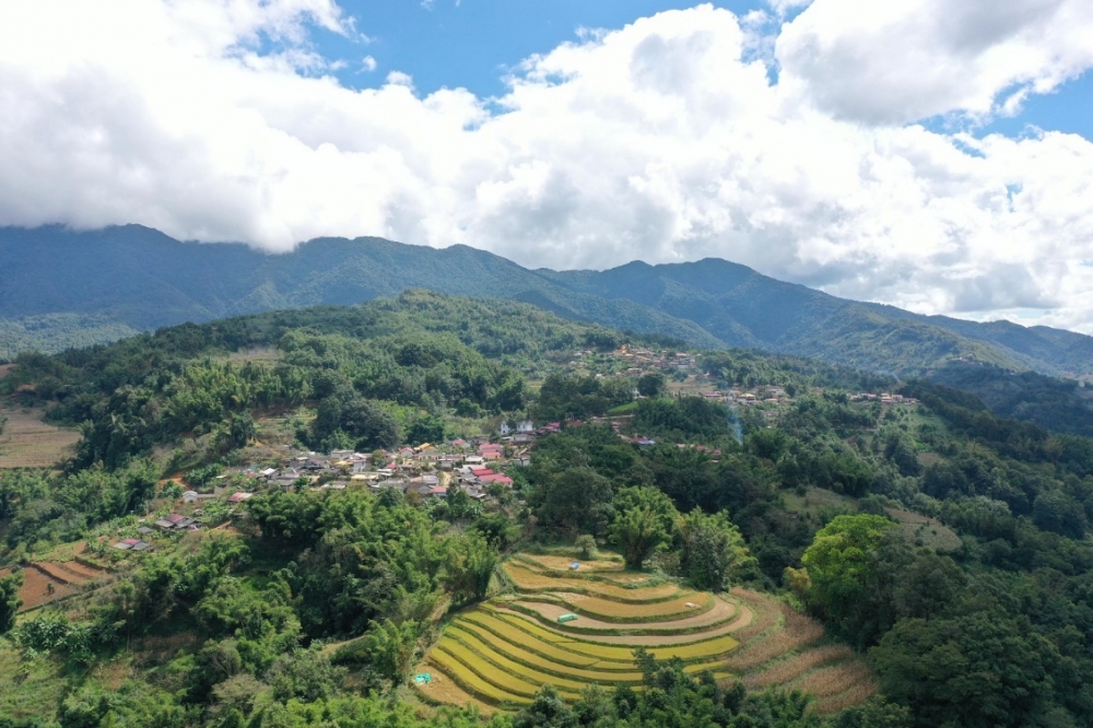 佤山幸福路！国寿驻村书记博鳌讲述边疆振兴实践
