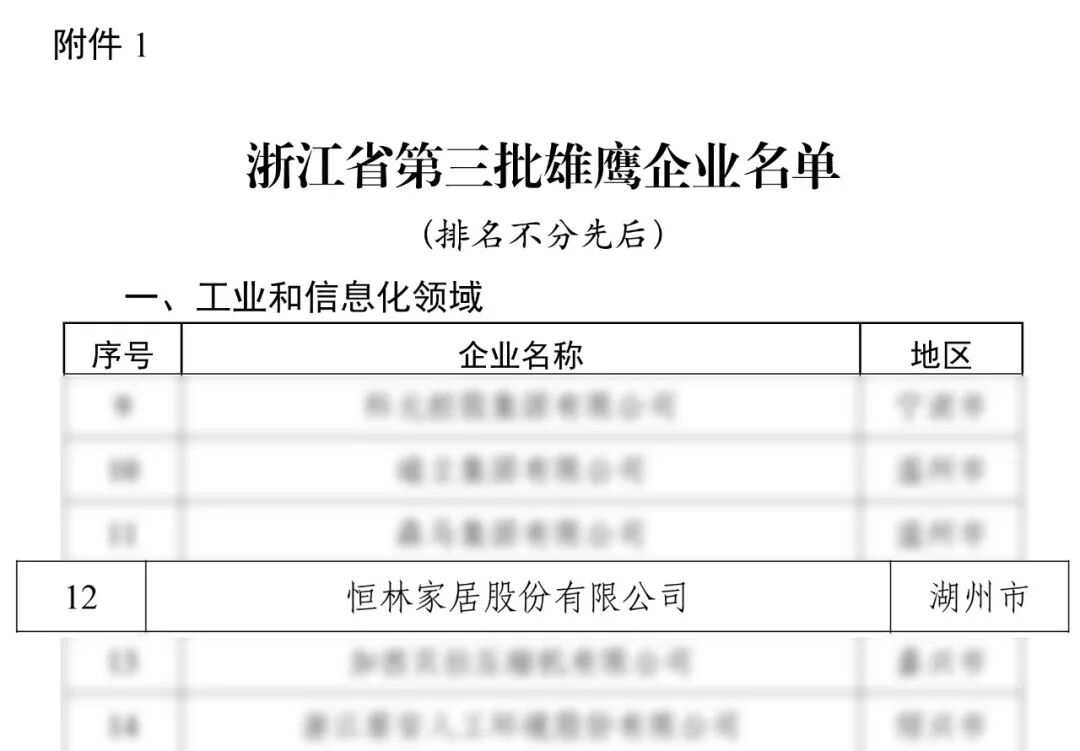 浙江雄鹰，恒林+1，安吉唯一！