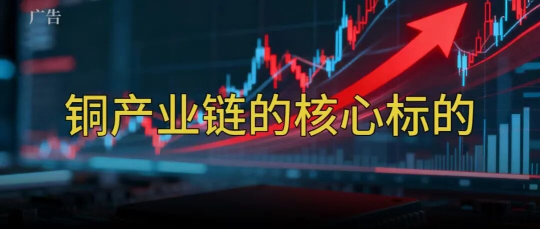 187家机构盯上1股！12月主力最新加仓名单曝光！这些赛道被爆买