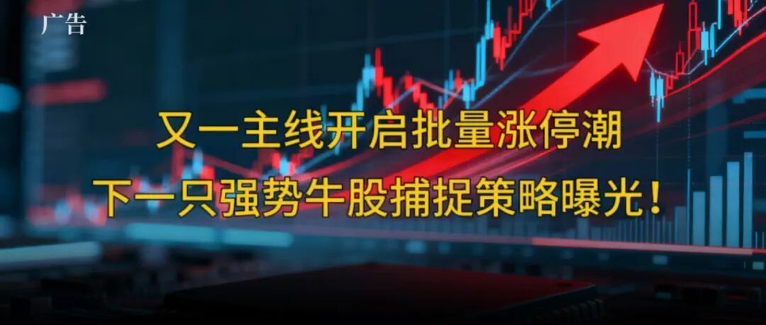 彻底火了！又一主线开启新一轮大级别行情！