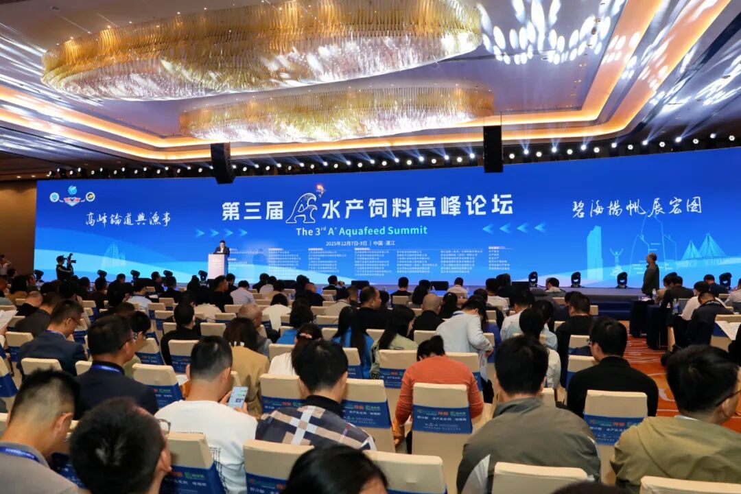 郑石轩:蛋白减量,营养不减效!粤海“三高三低”战略引领水产养殖降本增效