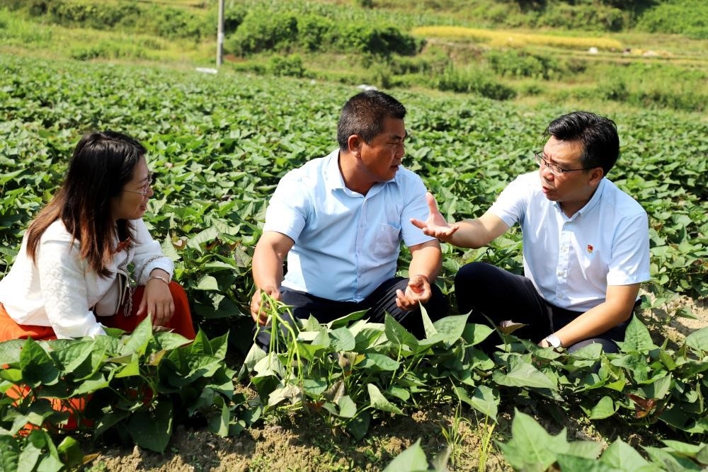 7000 亿保费破局！中国人寿以金融担当绘就民生保障新图景