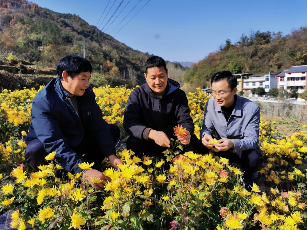 回眸2025丨将自身发展融入国家发展大局,中国人寿交出“三有”年度答卷