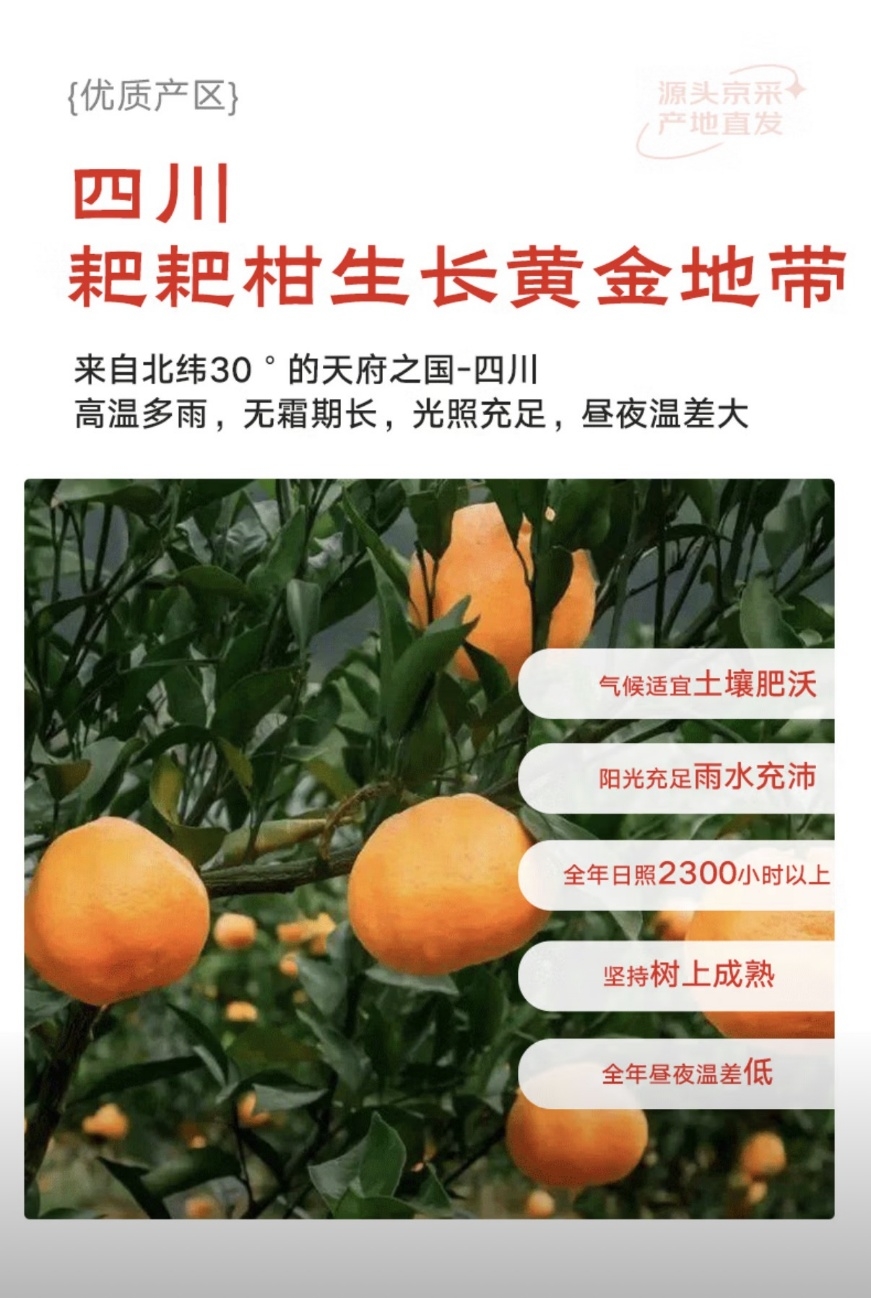 京东生鲜元旦消费观察：车厘子、即食海参与火锅热背后的品质、场景与健康三大趋势