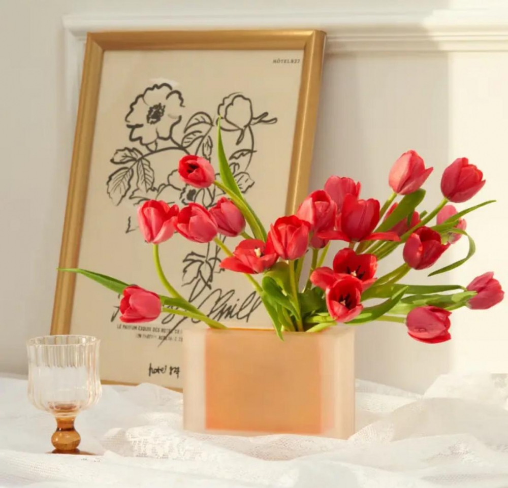 马年春节宵花开启上市迎丰产：采摘量增50%  郁金香价格降40%