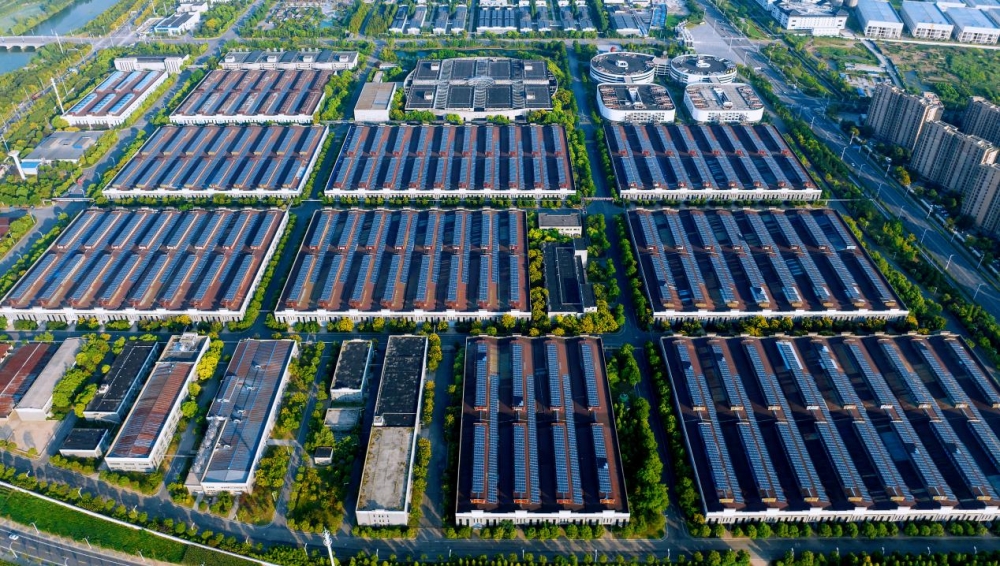 “厚”积“厚”发：洋河原酒底气护航2026韧性前行