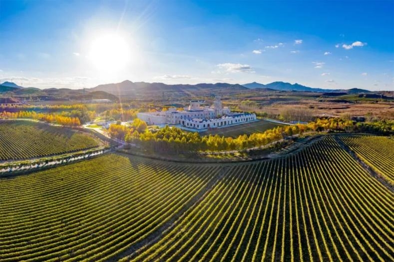 俞敏洪打卡张裕，现场“扛桶”种草了什么？