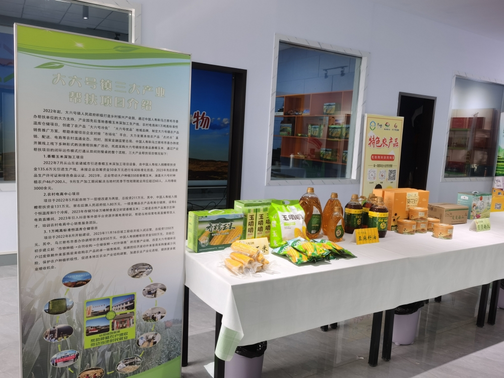 “十四五”答卷丨中国人寿涉农人身保险每年覆盖超2.7亿人次农村人口