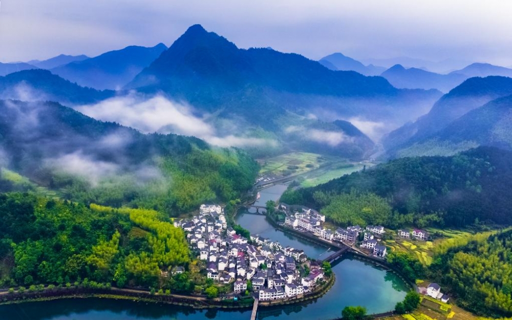 助力共富区建设，浙商银行滴灌小微经济万千活力