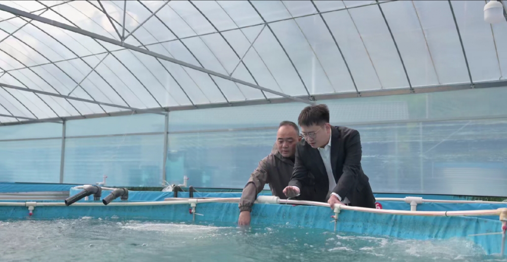 助力共富区建设，浙商银行滴灌小微经济万千活力