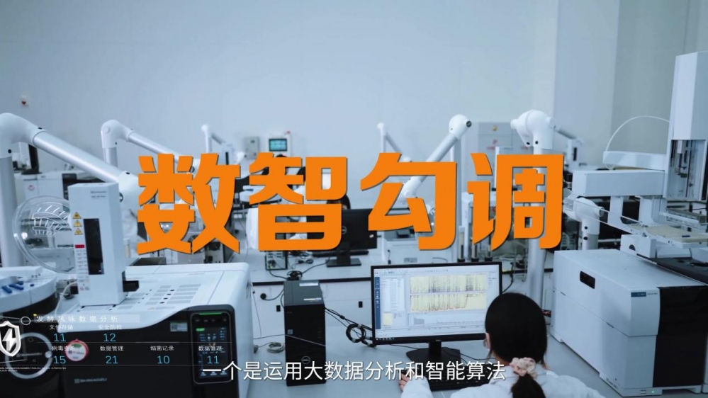 ​小撒再探国台：带你感受中国白酒的四重魅力