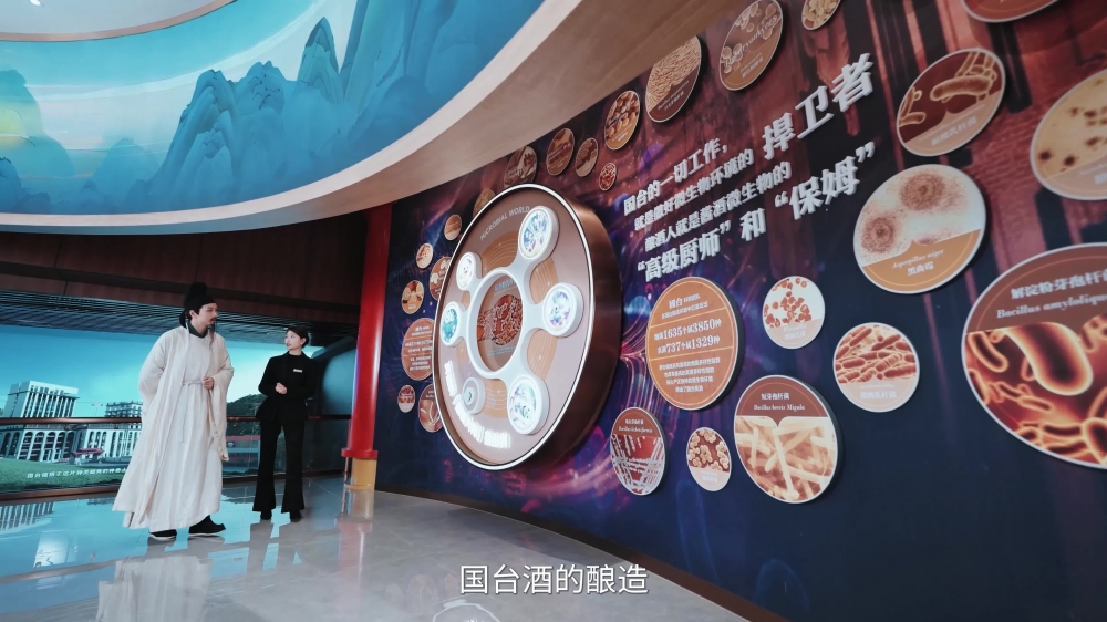 ​小撒再探国台：带你感受中国白酒的四重魅力