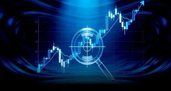 百余家机构为何齐聚这一股?