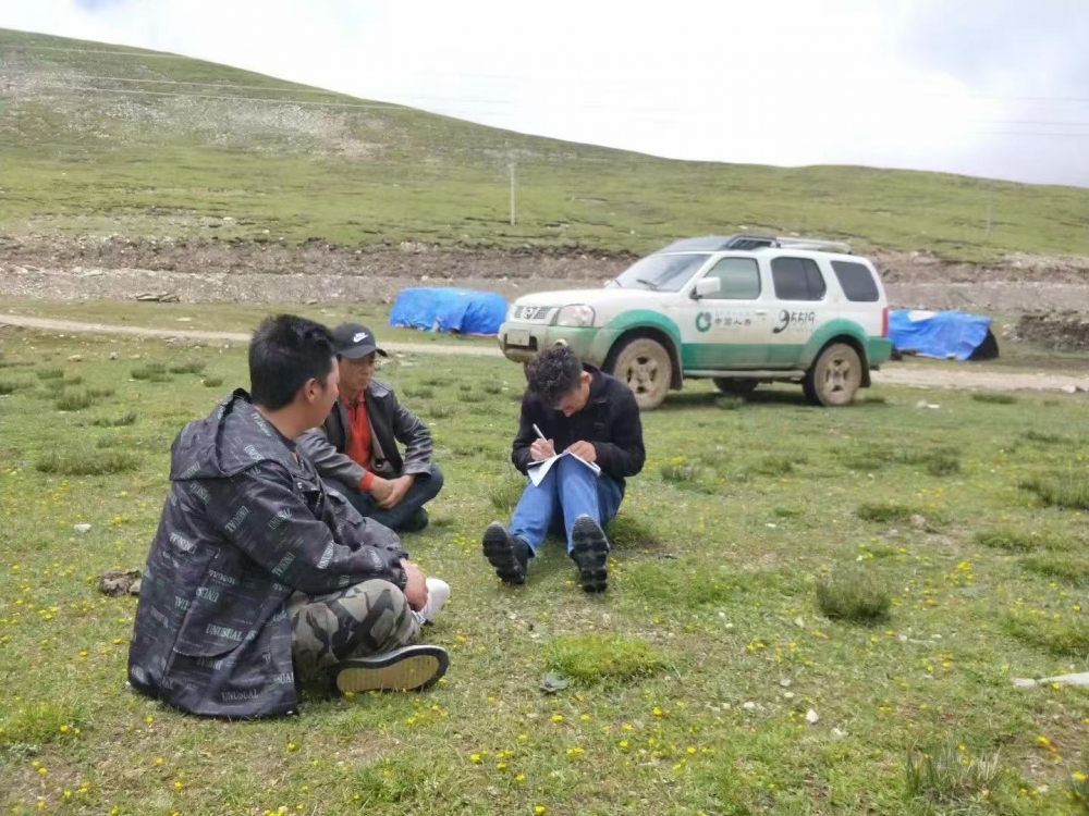 中国人寿干部员工学习领会2026 年全国两会精神