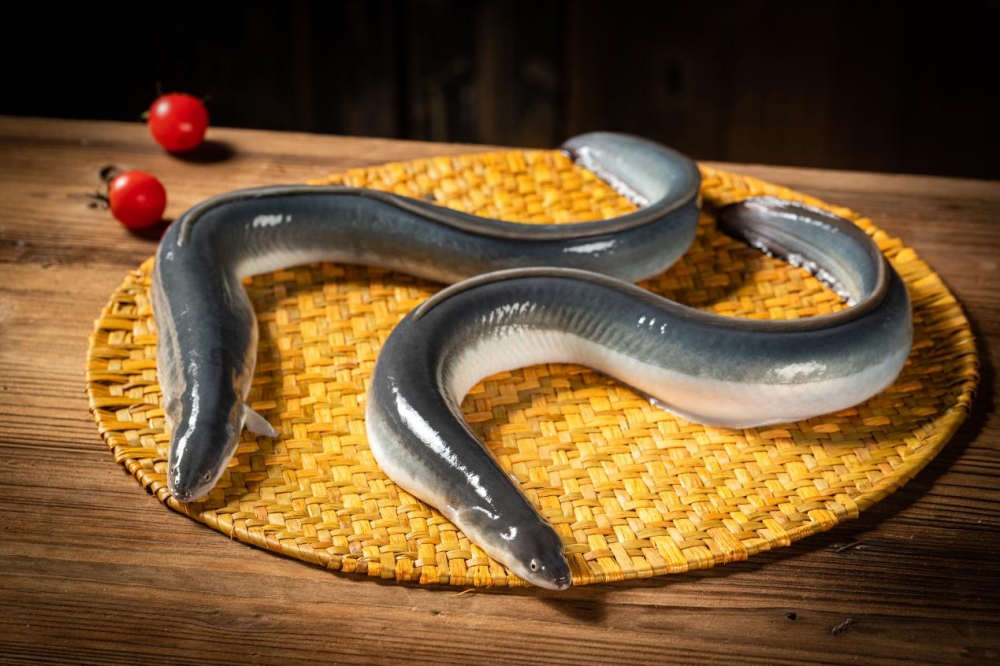 喜报！天马科技陈庆堂董事长荣膺“全国优秀企业家”！