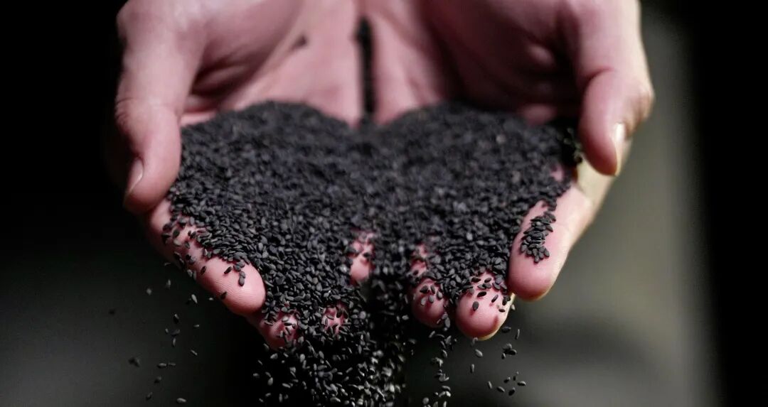 2026春糖剧透|南方黑芝麻带来哪些惊喜?