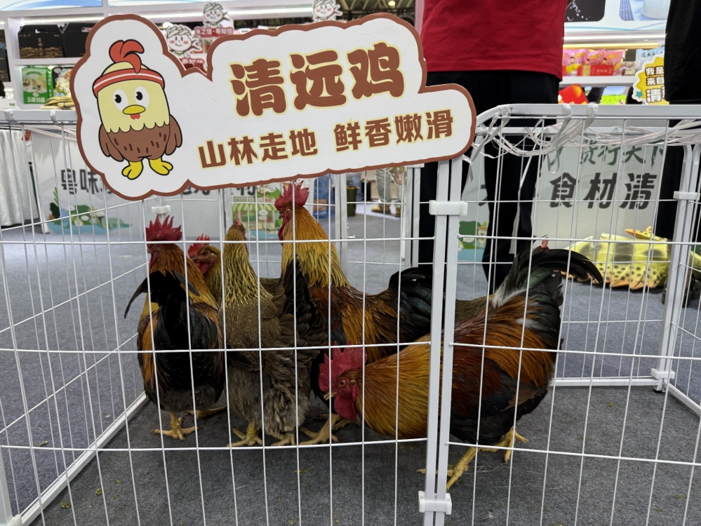 京东与清远市达成战略合作 正式在清远落地京东跑步鸡认证基地