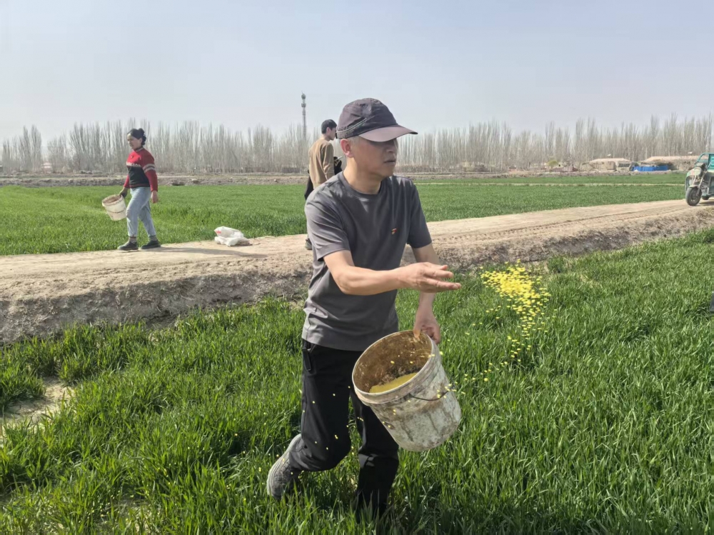 ​方言反诈进农田！中国人寿为春耕农户织密“金融防护网”