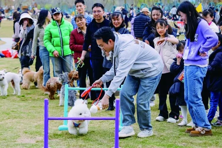 以邻为伴，招商蛇口春日友邻节激活社区新活力