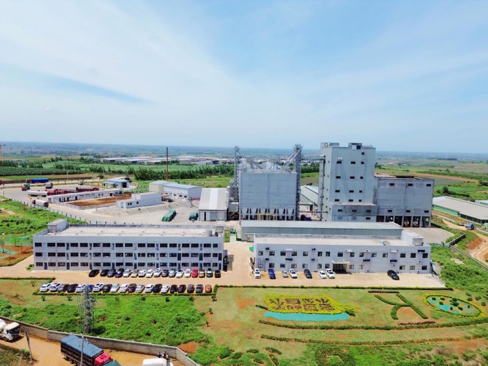 京基智农科技创新成果：菠萝渣变身绿色财富‌