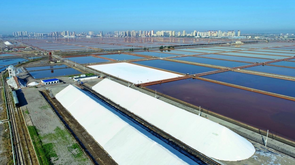 威海银行落地天津市首笔  “蓝色+生物多样性金融”GEP质押贷款