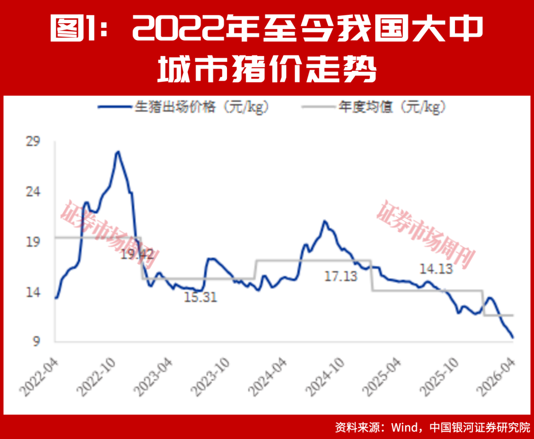 猪价10天反弹超16%！底部信号已现，新猪周期要启动？