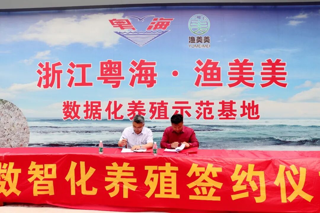 数智化!粤海饲料携手渔美美,打造如东对虾新标杆