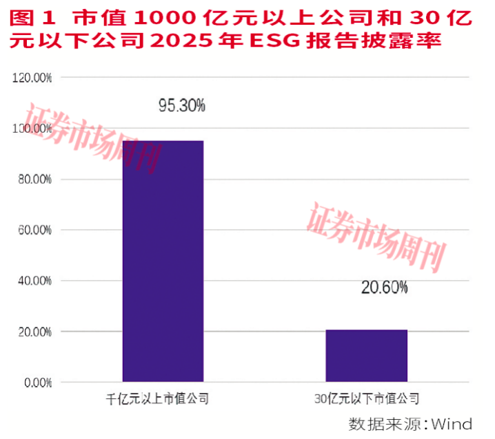 A股ESG强制披露元年：从“合规答卷”到“价值重塑”