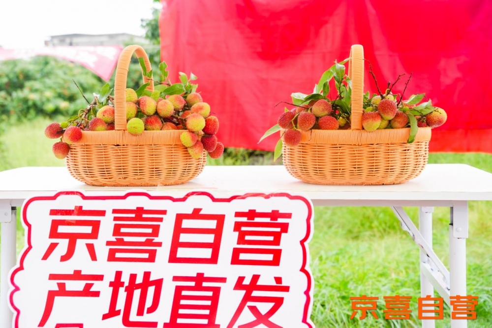 京东京喜宣布百大生鲜基地计划 推出茂名荔枝 同品质价更低