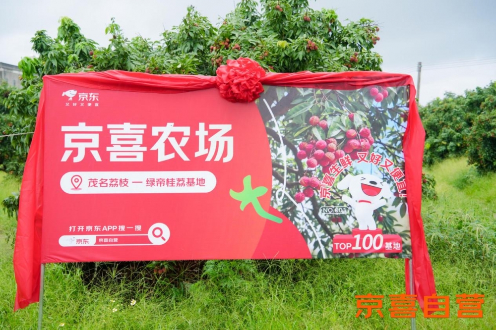 京东京喜宣布百大生鲜基地计划 推出茂名荔枝 同品质价更低