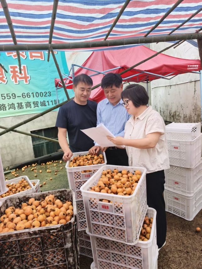 三十而立，微光成炬：千千万万国寿人的守护答卷