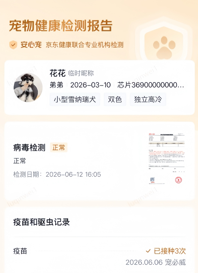 京东宠物犬猫“安心宠”服务上线  破解星期宠与货不对板乱象