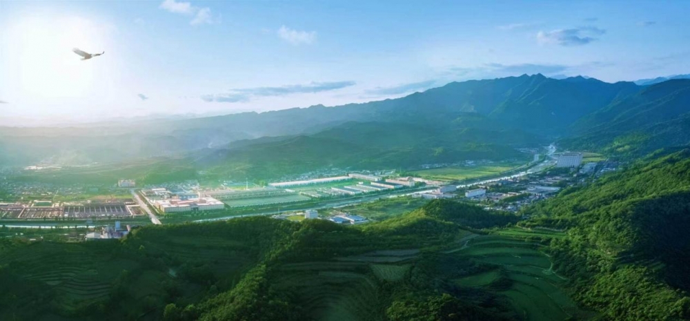 秦岭深处有金徽：一个白酒产区的生态样本