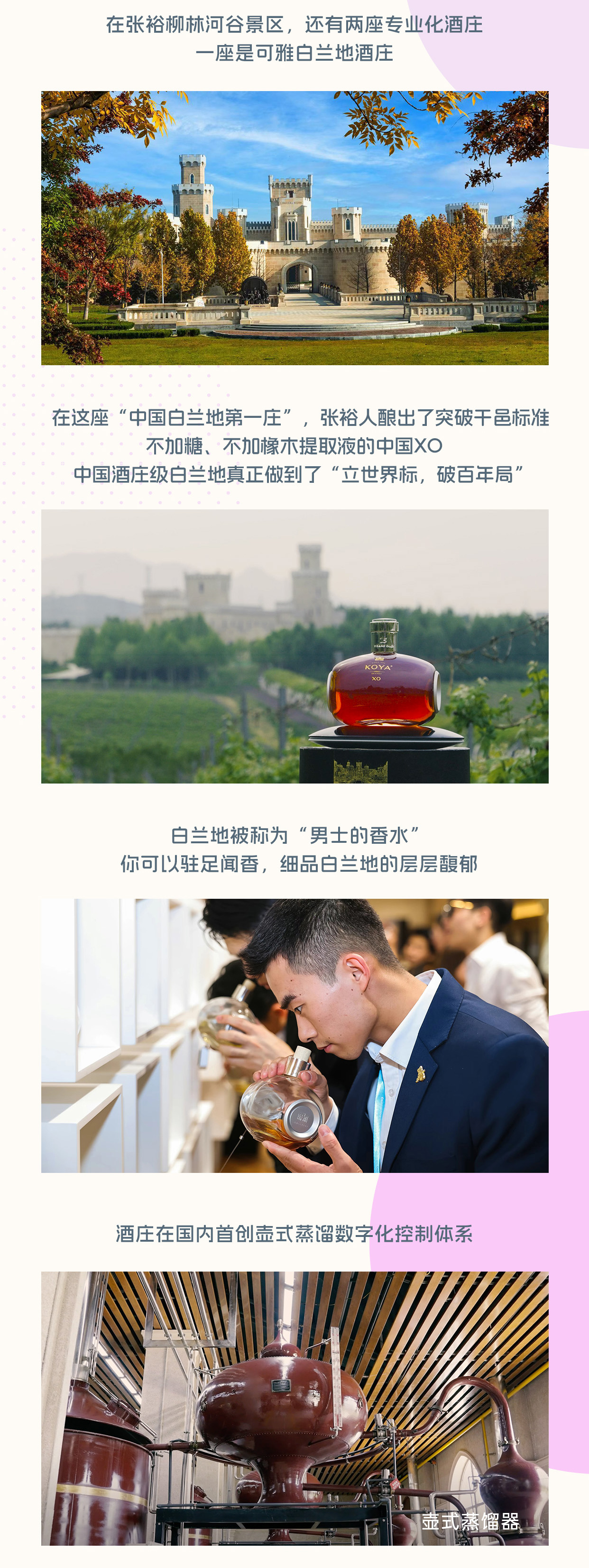 创意征集启动｜张裕面向全网征集优质脑洞创意方案