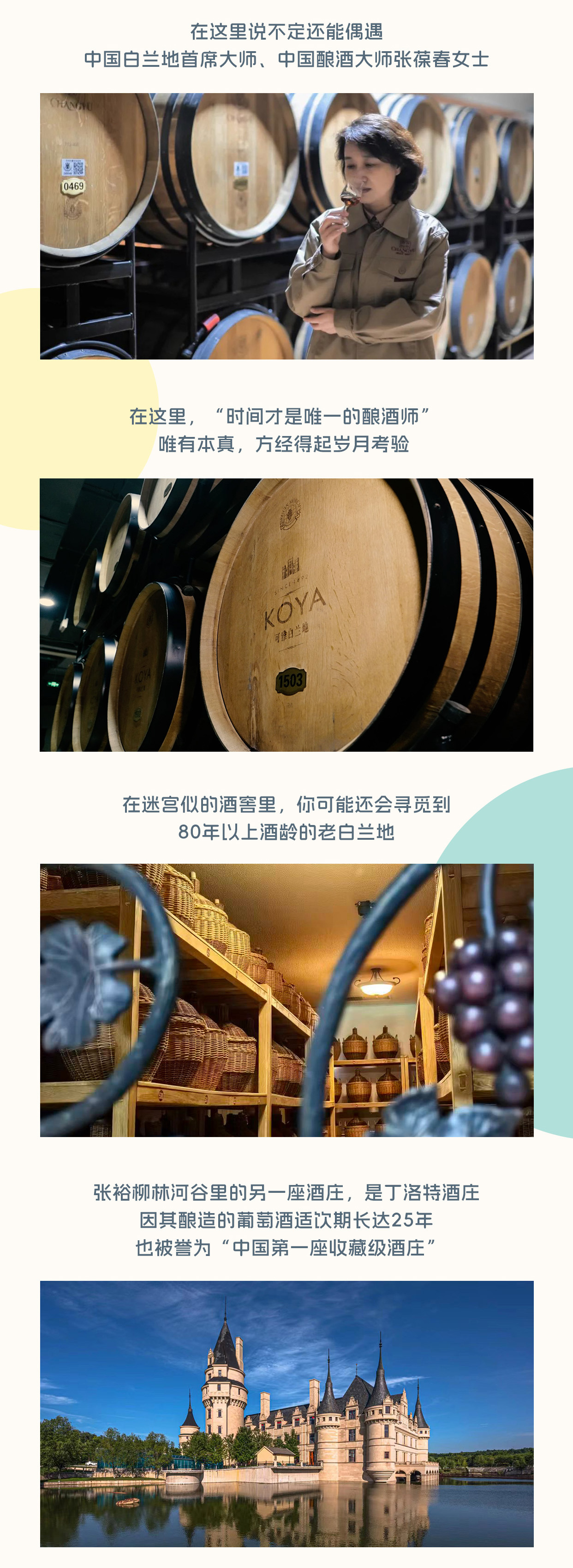 创意征集启动｜张裕面向全网征集优质脑洞创意方案