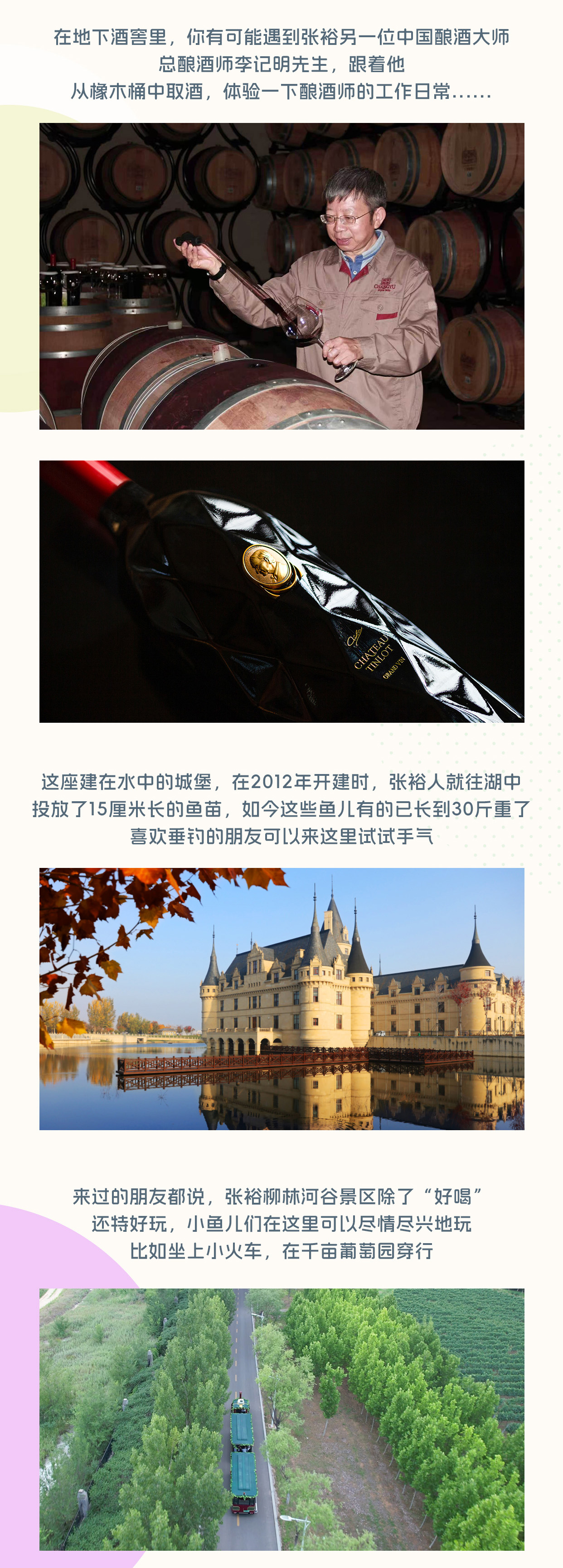 创意征集启动｜张裕面向全网征集优质脑洞创意方案