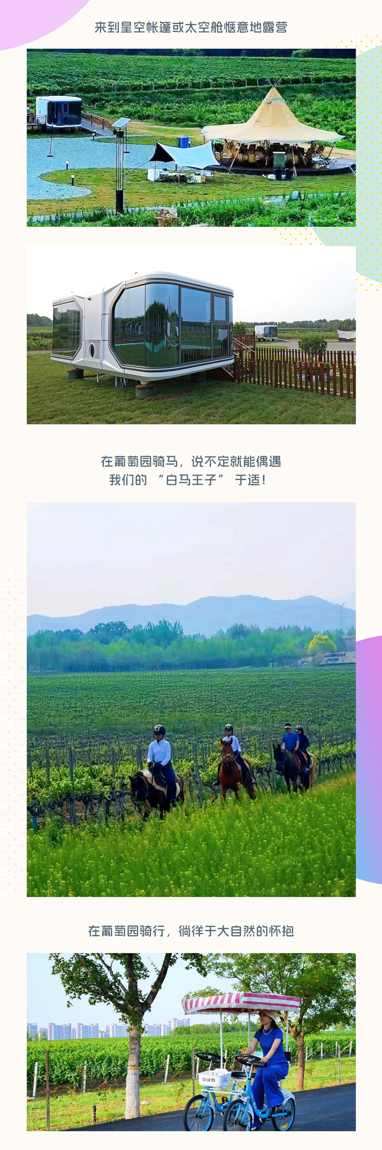 创意征集启动｜张裕面向全网征集优质脑洞创意方案