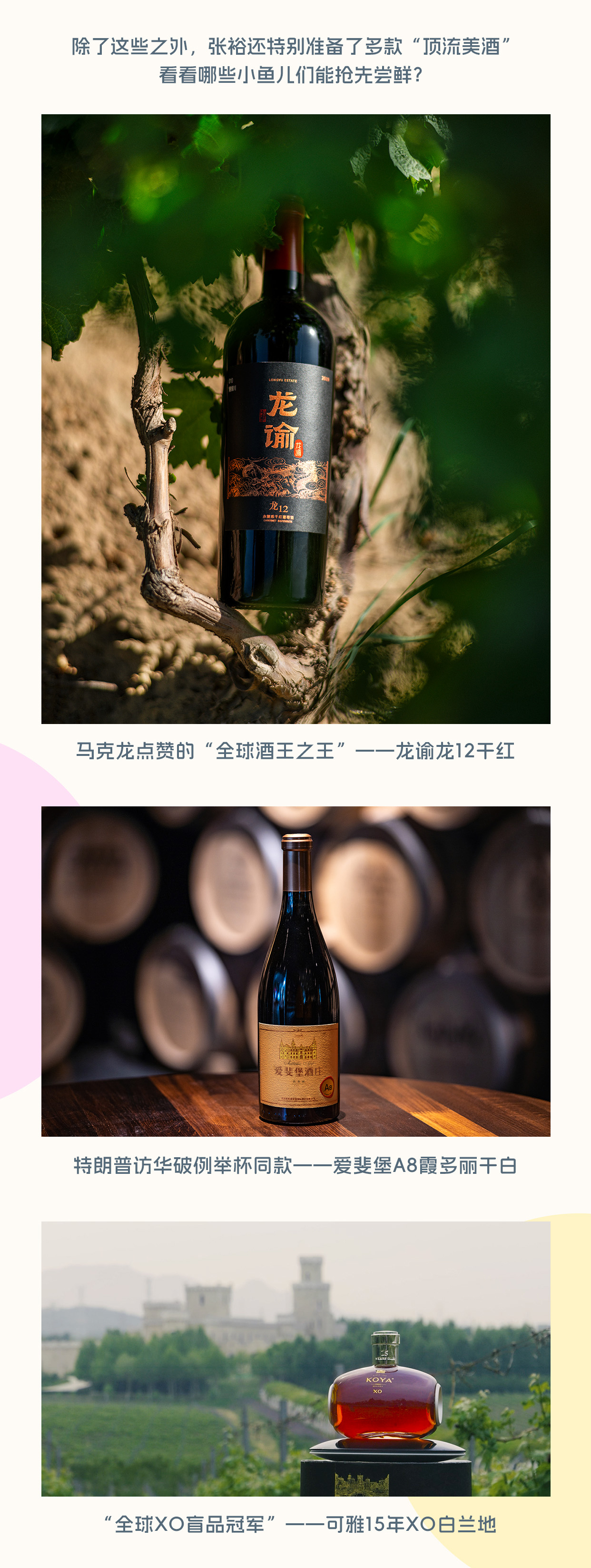 创意征集启动｜张裕面向全网征集优质脑洞创意方案