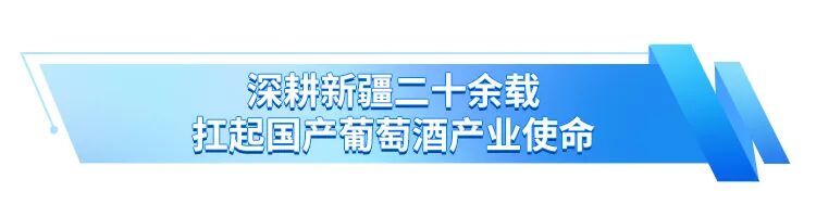 走进中信尼雅！亚宁实地探访，看见新疆葡萄酒的硬核底气