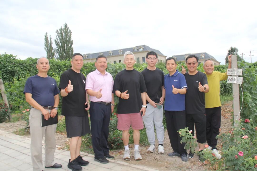 走进中信尼雅！亚宁实地探访，看见新疆葡萄酒的硬核底气