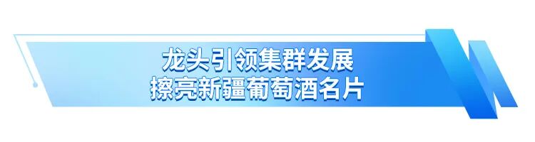 走进中信尼雅！亚宁实地探访，看见新疆葡萄酒的硬核底气