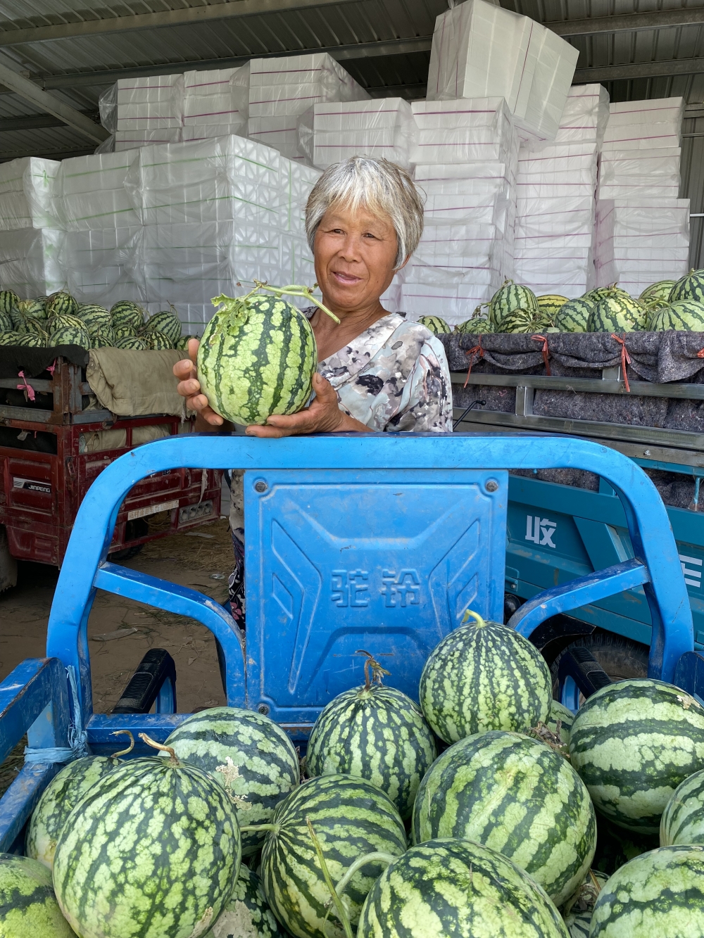 产地直采 京东京喜自营将助销河南西瓜500万斤