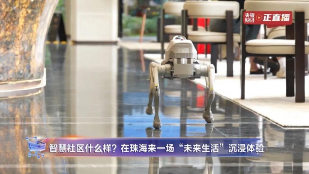 稳守主业筑牢底盘,多元赛道开辟新机 华发股份2026上半年经营韧性观察